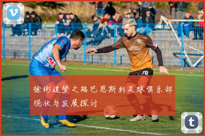 徐彬追梦之路巴恩斯利足球俱乐部现状与发展探讨