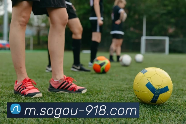 博天堂发展历程