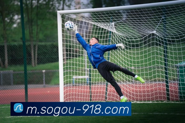 未来规划